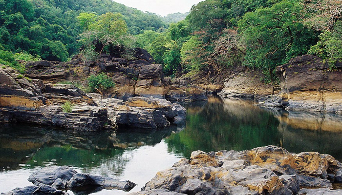 Cotigao Wildlife Sanctuary