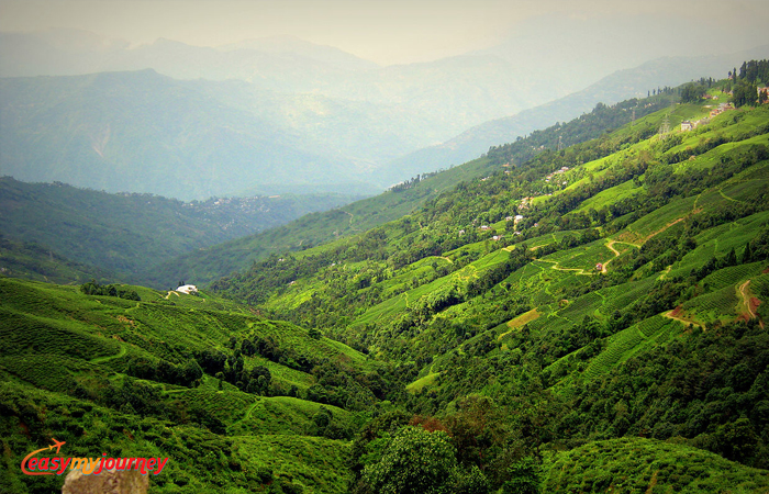 Darjeeling Tourism