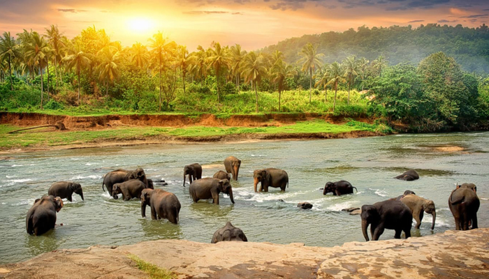 Shenduruny Wildlife Sanctuary